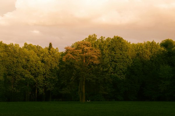 Réduisez le risque de chutes avec des exercices adaptés pour seniors : votre guide essentiel